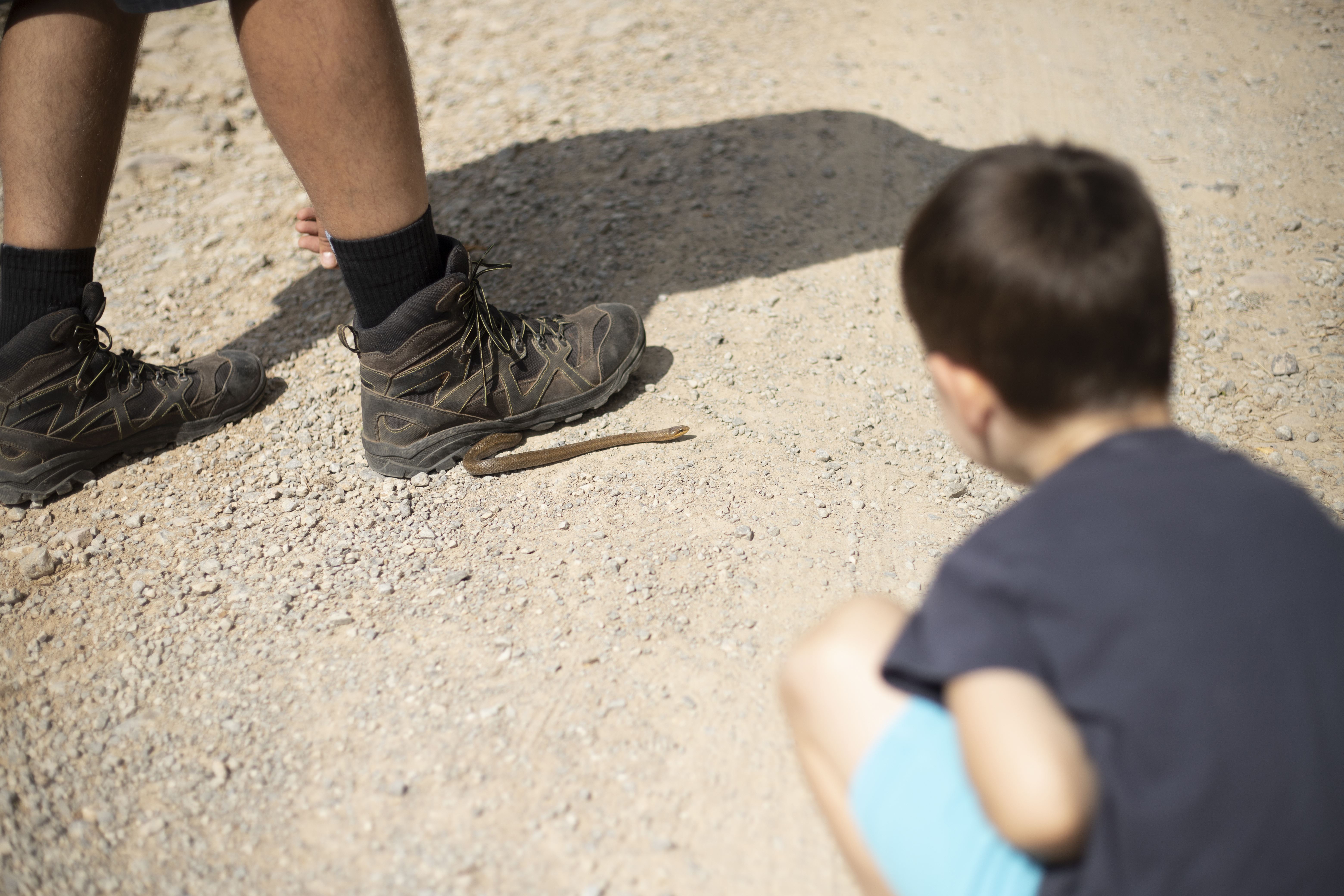 Stepping on snake during a hike.